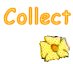 Collect Dot