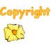 Dot Copyright